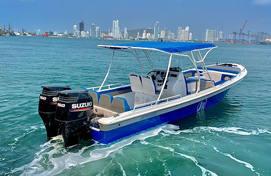 Private Boat Transfer Blue Apple Beach Cartagena Islands