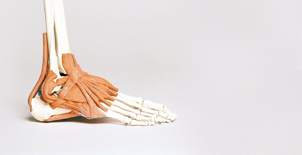 foot and muscle healthcare rehabilitation clinic
