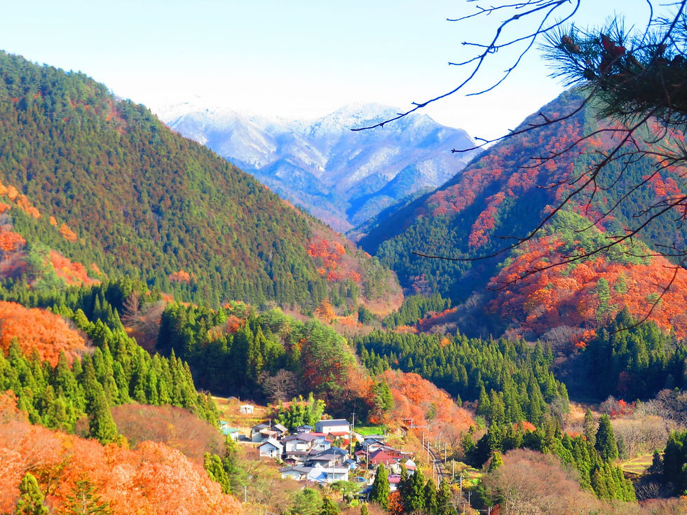 original_6c655cf7-efc6-452e-99cf-31d2ab0c77e6_20231126112108_IMG_5463