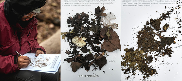 ITERATION RECIPROCITY.jpg