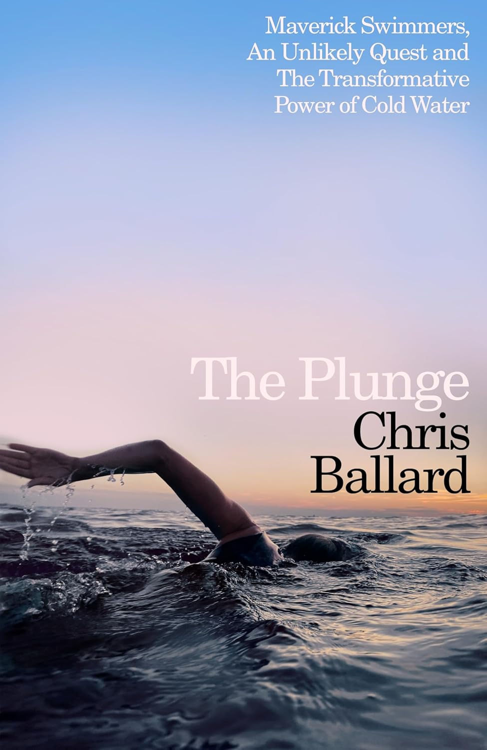 the plunge book summary