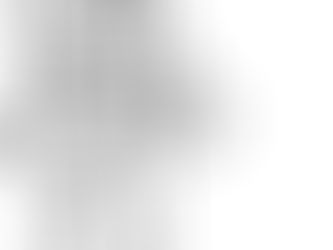 Building Strong Biceps with Reverse Curls Barbell