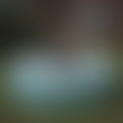 Cold Plunge Benefits: The Science-Backed Case for Voluntary Discomfort