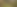 Apple Orchard.png