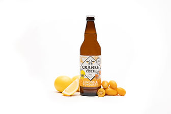 Lemons & Kumquats fruit - reduced size.jpg