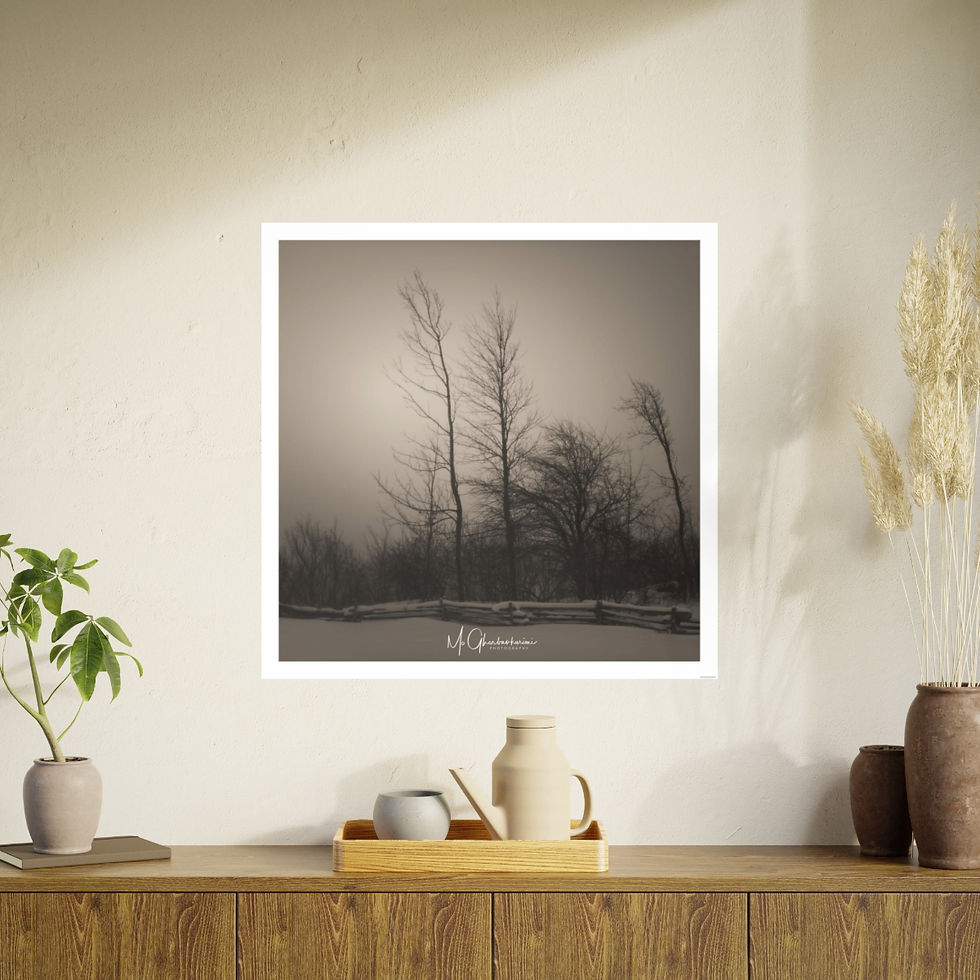 Thumbnail: Warm winter at Blue Mountain.