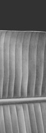 Black and White Leaf