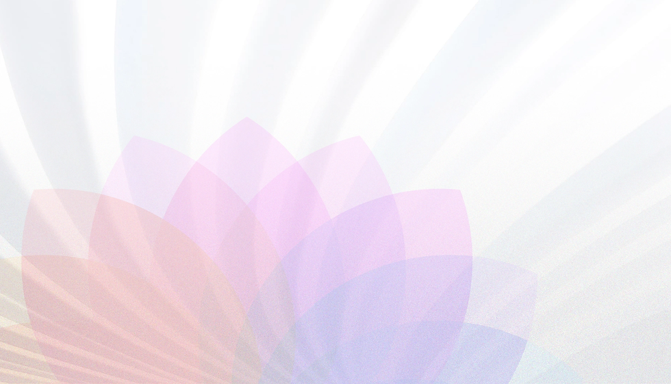 mlk-bg-banner-alt-2-exported.webp