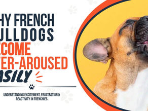 French Bulldogs Over-Arousal and Reactivity