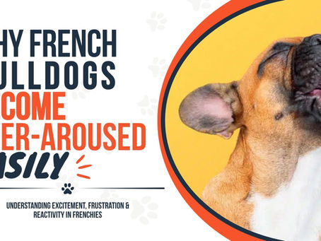 French Bulldogs Over-Arousal and Reactivity
