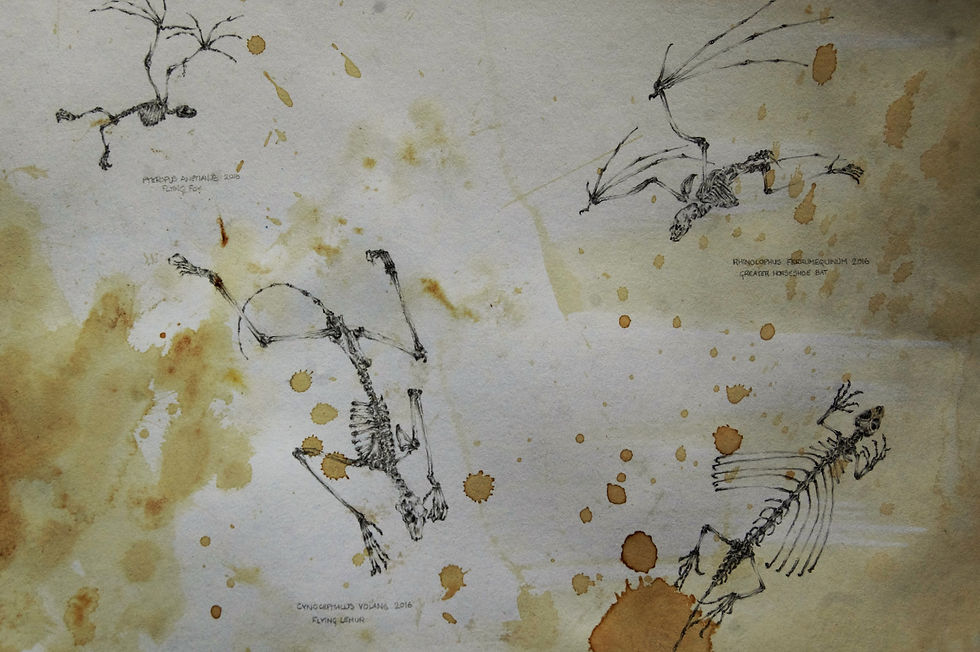 Things that Fly (detail)