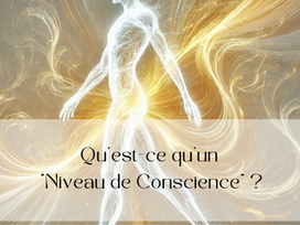 Qu'est-ce qu'un "Niveau de Conscience" ?