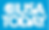 usa today logo.png