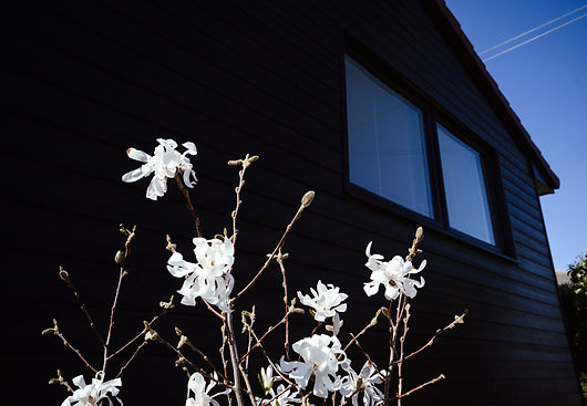 Expert-Builders-Swanage-Extension