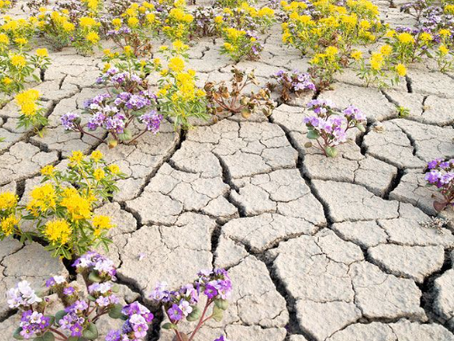 Des R.E.E.L au réel III – Le réel comme « Espérance en mouvement »