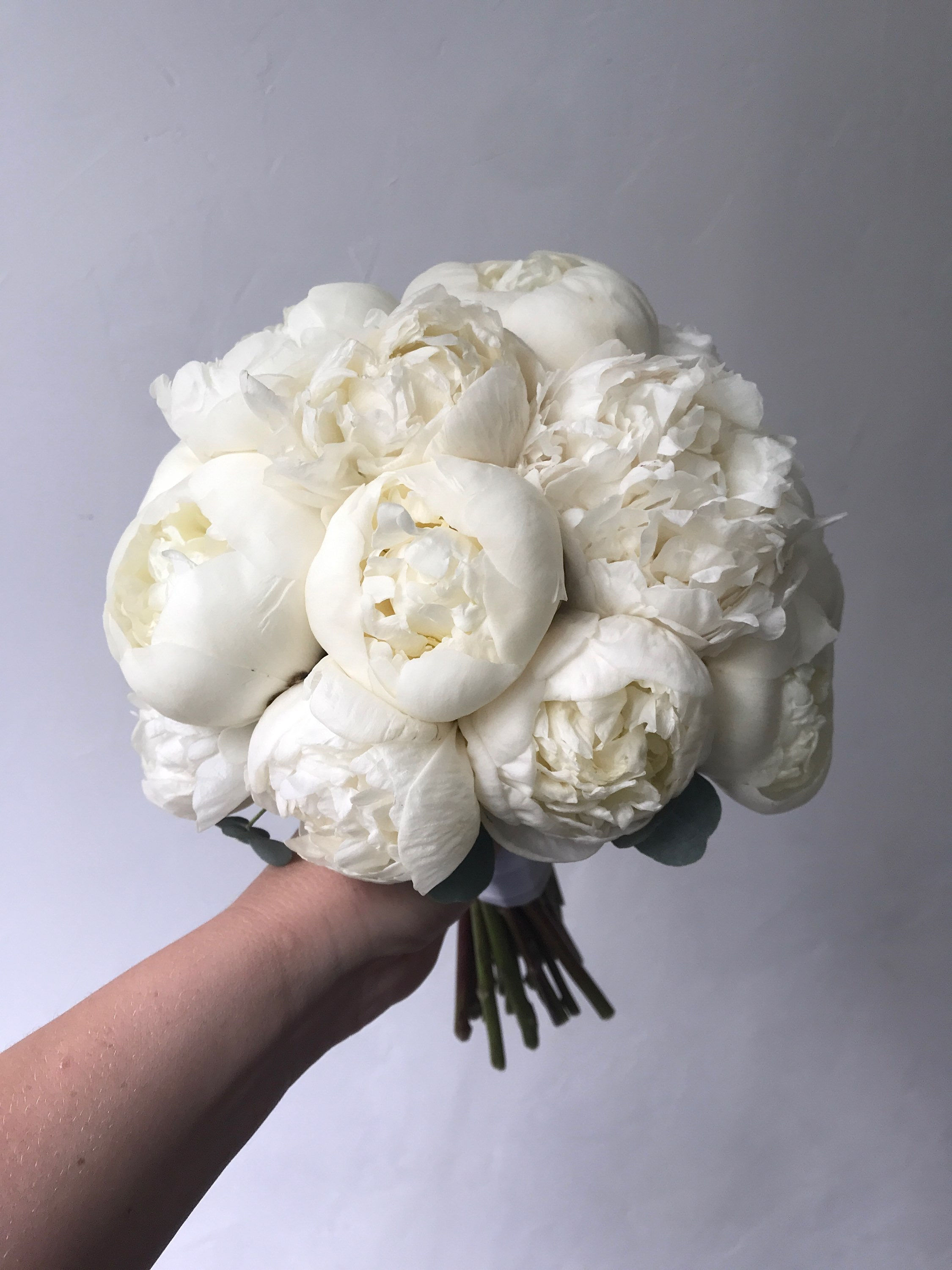 Букет невесты из 19  пушистых пионов