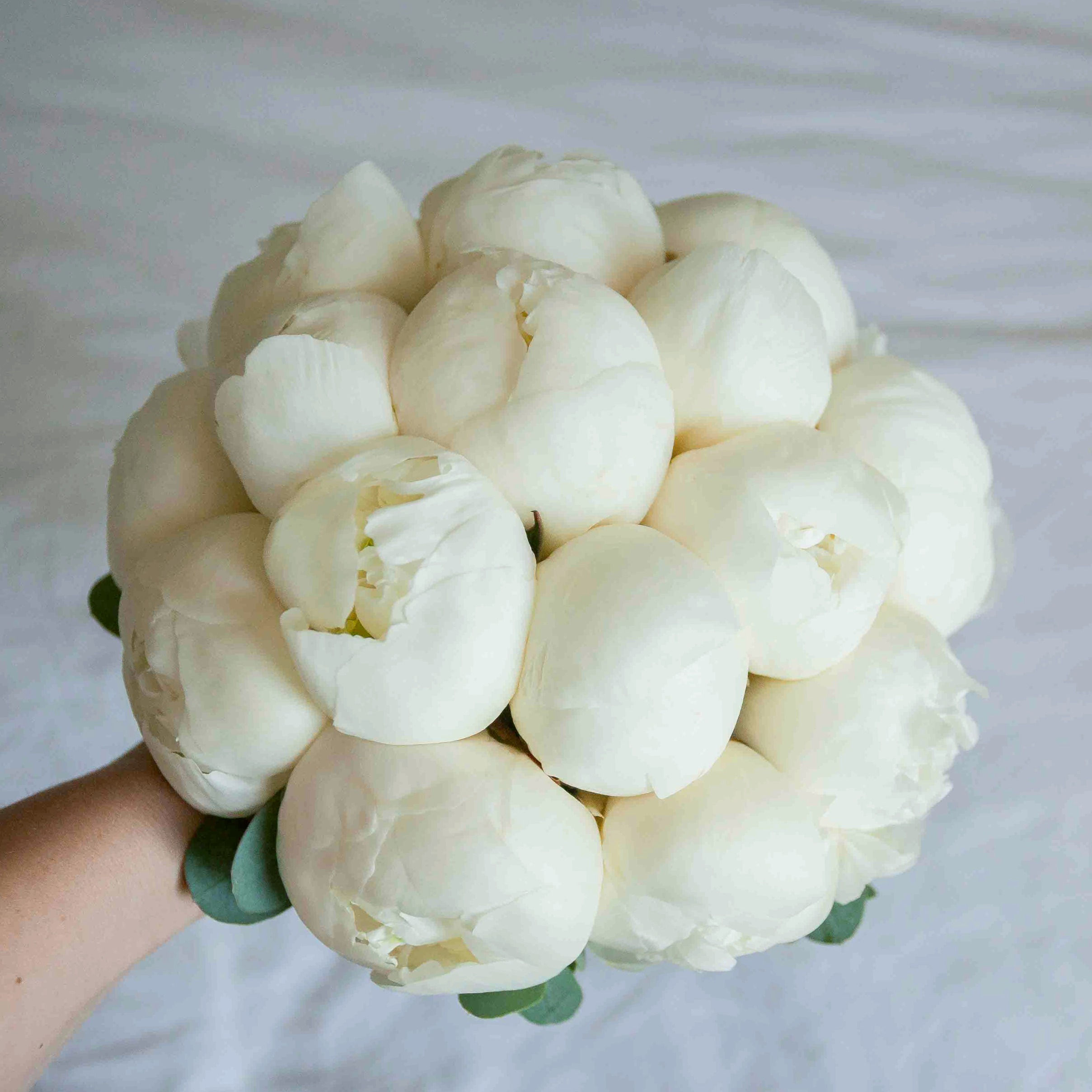 Букет невесты из 15 белых пионов сорта дюшес