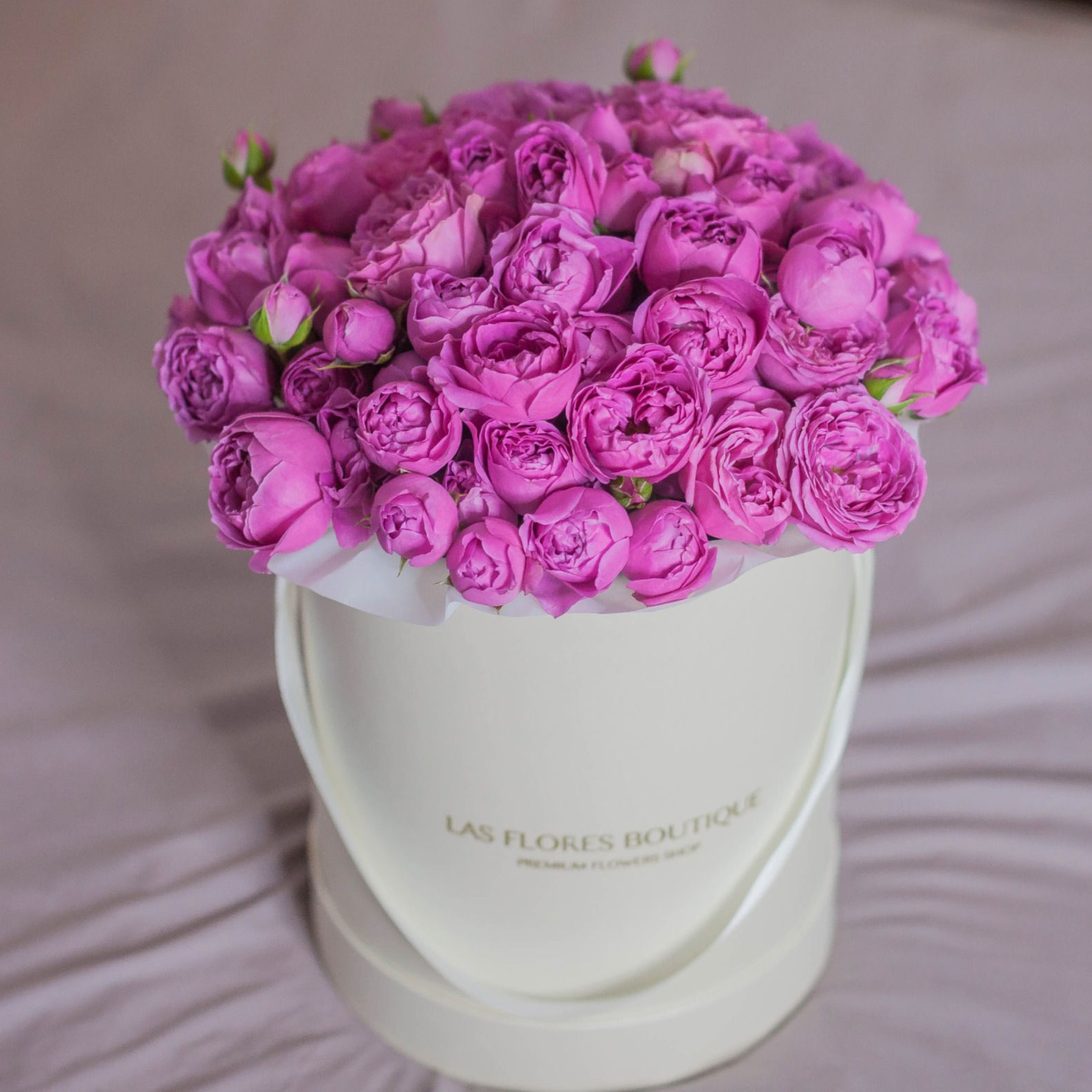 Мисти Бабблз в коробке