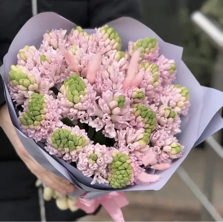 Миниатюра: гиацинты цветы букет