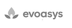 EVoasys_edited.jpg