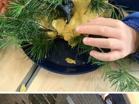 Nursery News - Fledglings