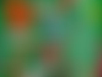 Nursery News - Chicks