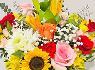 8b65bd4d-1d1c-46eb-8e46-2ea29eb5aa6d_edited.jpg