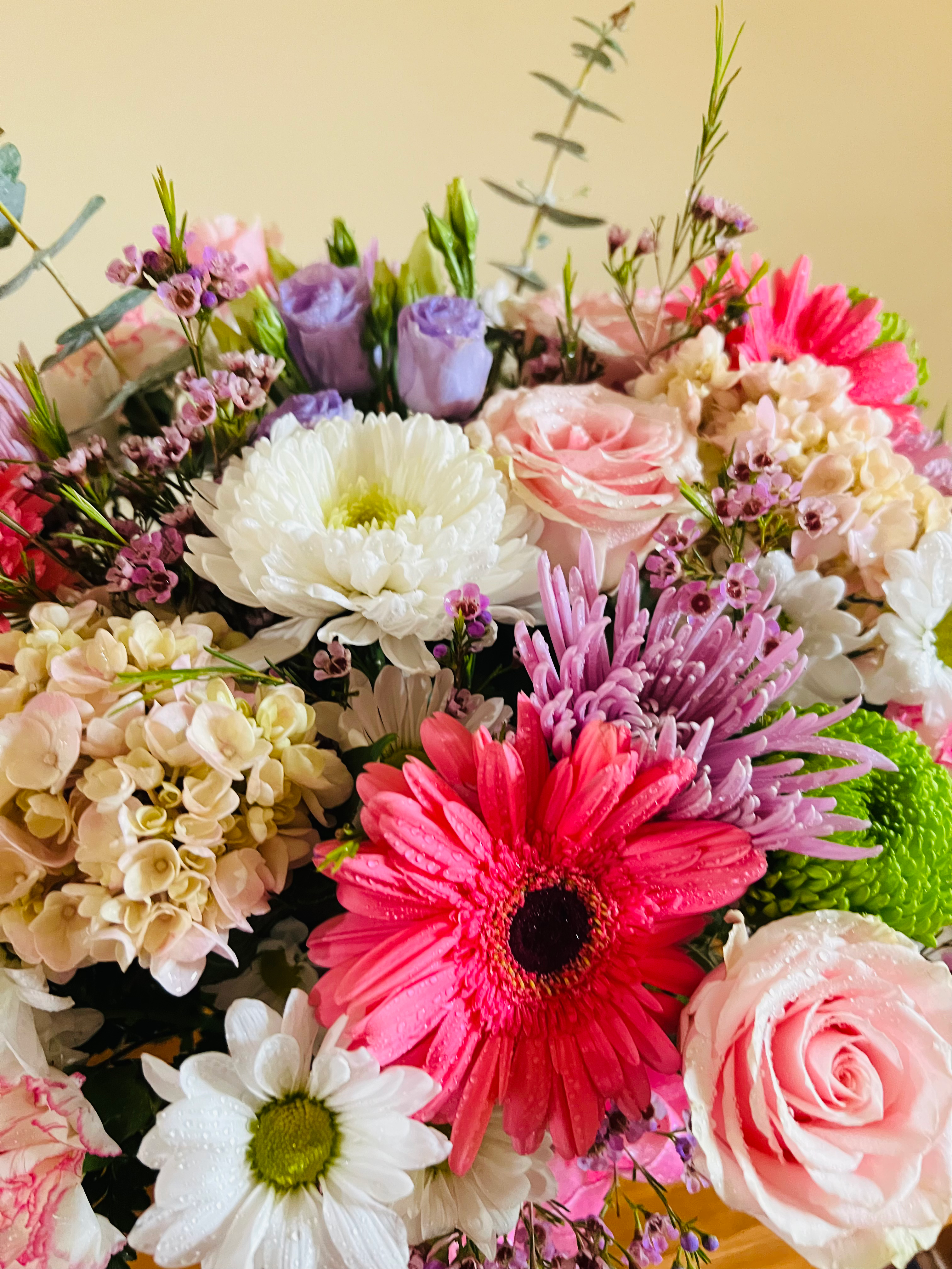 Graduation Designer Choice