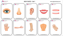 Free printable spring flashcards