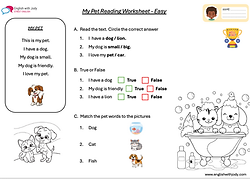 Reading Worksheet
