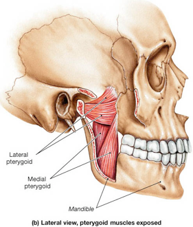 What is TMJ pain?