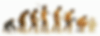 evolution-man-computer.gif