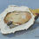 Thumbnail: Giclee on Canvas-Contemporary Oyster Artwork A138B