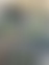 Les plus belles terrasses de Sion