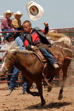 0623 rodeo web 13