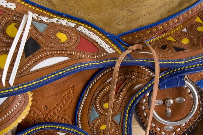 sela colorida 5.webp