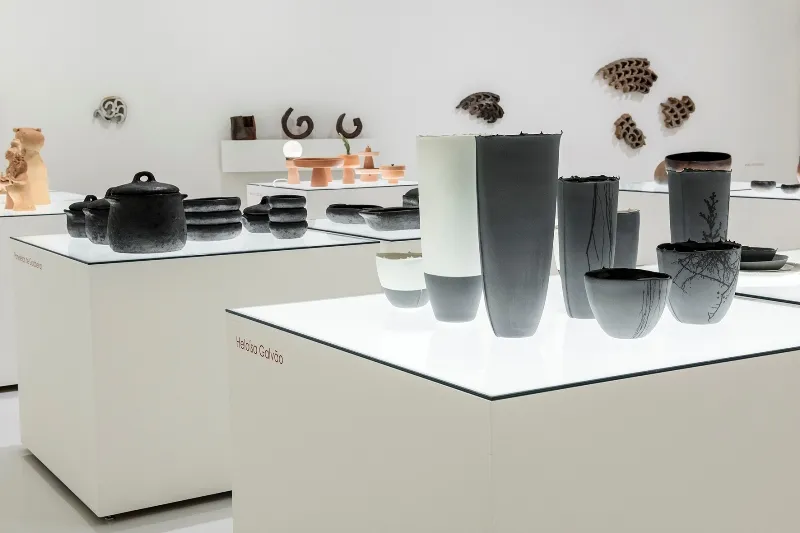 2015 08 a casa expografia (55).webp
