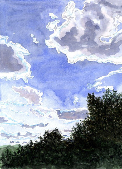 Blue Sky in the New Forest - Lucinda Nicholas.jpg