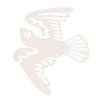 gaivota.png