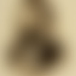 EDUARDO WILDE: EXPONENTE DE LA GENERACIÓN DEL 80