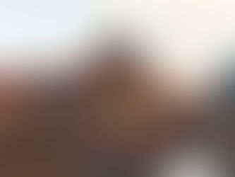 Johannes Vermeer, genio y misterio