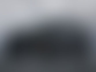 Why Toronto Drivers Choose Old Mill: A Local Dealership Review