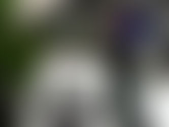 Red Dirt, Blue Blood. The Story of the Nances of Lower Alabama by Rahkia Nance.