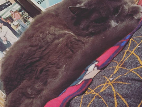 豊橋名所ぶらぶら