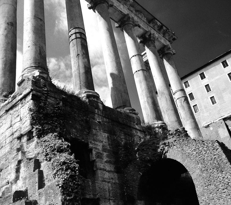 2026年1月の演奏予定