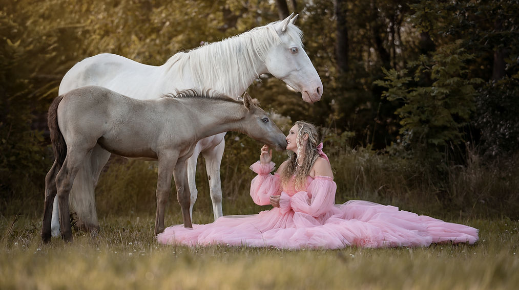 Prinzessinnen-Shooting mit Pferd und Fohlen im rosa Tüllkleid – märchenhafte Szene bei Sonnenuntergang