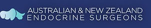 endocrine surgeon