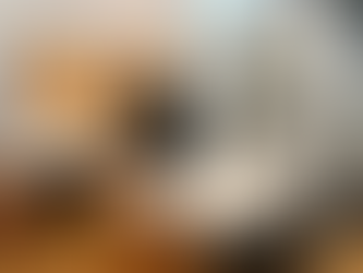 Kitchen refresh by TRAY Design and Build