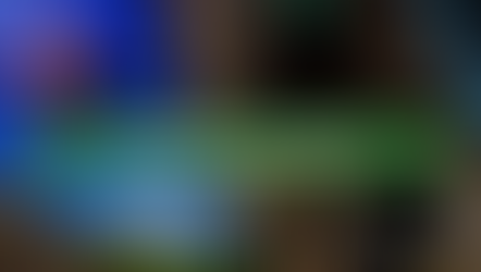 Mobilidade Acadêmica Internacional 2020