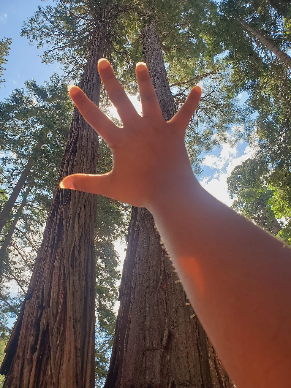 Live in the moment, it's right in the palm of your hand